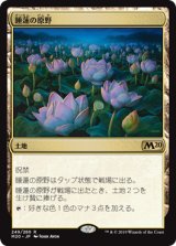 画像: (M20-RL)Lotus Field/睡蓮の原野(日,JP)