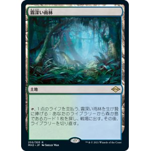 画像: (MH2-RL)Misty Rainforest/霧深い雨林(日,JP)