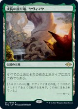 画像: (MH2-RL)Yavimaya, Cradle of Growth/成長の揺り篭、ヤヴィマヤ(日,JP)