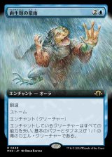 画像: 【拡張アート】(MH3-RU)Amphibian Downpour/両生類の豪雨【No.0449】(英,EN)