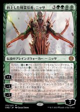 画像: (ONE-MG)Nissa, Ascended Animist/向上した精霊信者、ニッサ(日,JP)