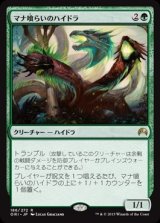 画像: $FOIL$(ORI-RG)Managorger Hydra/マナ喰らいのハイドラ(日,JP)