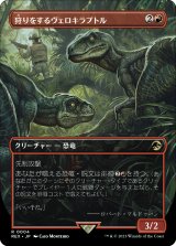 画像: 【ボーダーレス】(REX-RR)Hunting Velociraptor/狩りをするヴェロキラプトル【No.0004】(英,ENG)