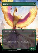 画像: 【ボーダーレス】(RVR-RG)Birds of Paradise/極楽鳥【No.0432】(日,JP)