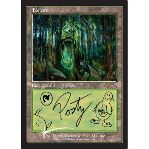 画像: (SLD-RL)Forest/森 (No.1194)(英,EN)