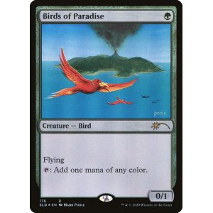 画像: (SLD-RG)Birds of Paradise/極楽鳥 (No.176)