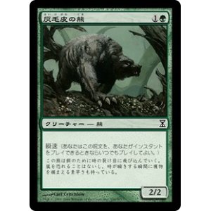 画像: 【Foil】(TSP-CG)Ashcoat Bear/灰毛皮の熊(日,JP)