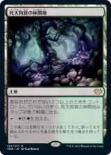 画像: (VOW-RL)Deathcap Glade/死天狗茸の林間地(日,JP)