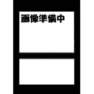 画像: (Promo-MPS)2007年以降MPS基本地形FOIL