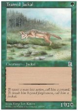 画像: (PO3-Common)Trained Jackal/訓練された野犬(英,English)