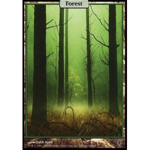 画像: $FOIL$(UHG-CL)Forest/森