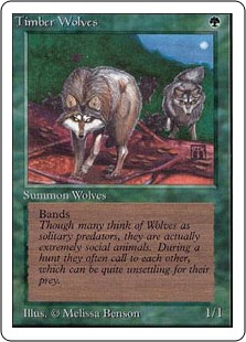 画像1: (2ED-RG)Timber Wolves/森林狼