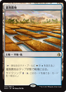 画像1: (AKH-RL)Irrigated Farmland/灌漑農地(英,EN)