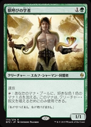 画像1: (BFZ-RG)Beastcaller Savant/獣呼びの学者(英,EN)