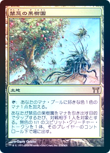 画像1: 【Foil】(CHK-RL)Forbidden Orchard/禁忌の果樹園(日,JP)