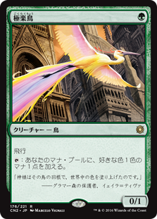 画像1: $FOIL$(CN2-RG)Birds of Paradise/極楽鳥(JP,EN)