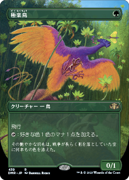 画像1: 【フレームレス】(DMR-RG)Birds of Paradise/極楽鳥(日,JP)