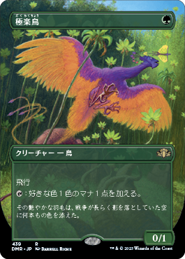 画像1: 【フレームレス】(DMR-RG)Birds of Paradise/極楽鳥(英,EN)