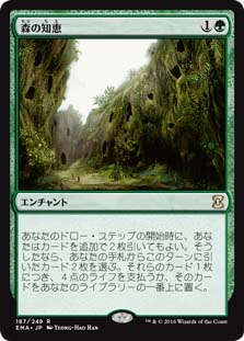 画像1: $FOIL$(EMA-RG)Sylvan Library/森の知恵(日,JP)