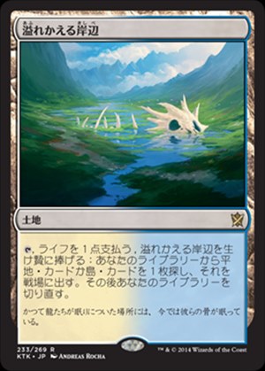 画像1: $FOIL$(KTK-RL)Flooded Strand/溢れかえる岸辺(JP)