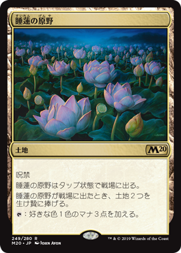 画像1: (M20-RL)Lotus Field/睡蓮の原野(日,JP)