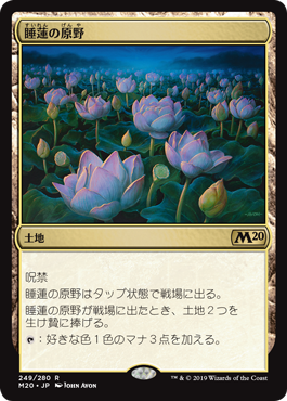 画像1: (M20-RL)Lotus Field/睡蓮の原野(英,EN)