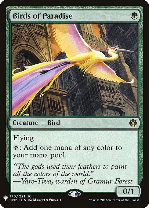 画像1: (MB1-RG)Birds of Paradise/極楽鳥(英,EN)