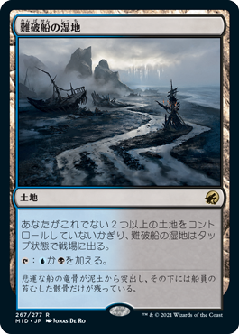 画像1: (MID-RL)Shipwreck Marsh/難破船の湿地(英,EN)