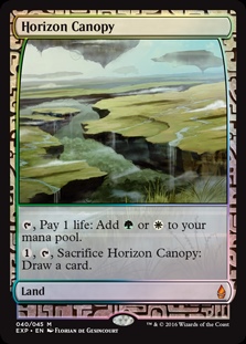 画像1: (OGW-EX)Horizon Canopy/地平線の梢