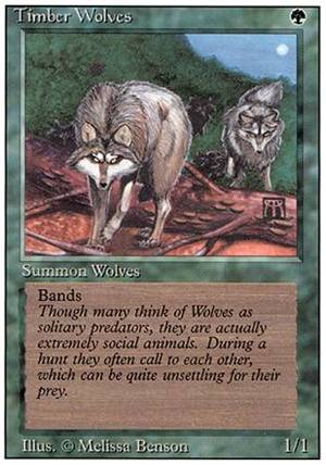画像1: (3ED-R)Timber Wolves/森林狼(英,EN)