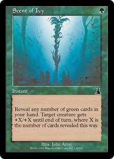 画像1: 【Foil】(UDS-CG)Scent of Ivy/キヅタの匂い(日,JP)