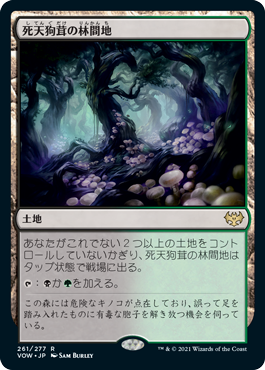 画像1: (VOW-RL)Deathcap Glade/死天狗茸の林間地(英,EN)