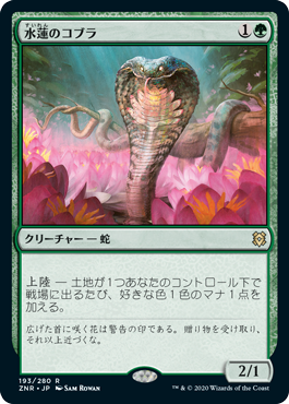 画像1: (ZNR-RG)Lotus Cobra/水蓮のコブラ(英,EN)