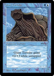 画像1: (ARN)Giant Tortoise/象亀