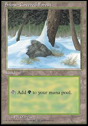 画像1: (ICE-C)Snow-Covered Forest/冠雪の森(英,EN)