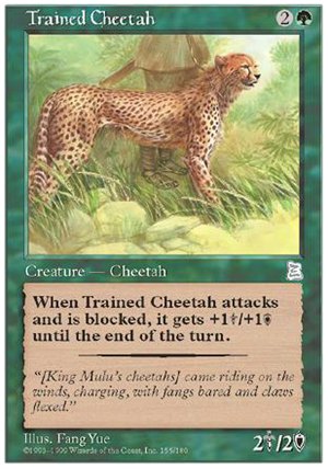 画像1: (PO3-UC)Trained Cheetah/訓練された豹(英,English)