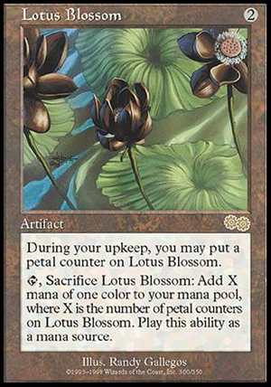画像1: (USG-R)Lotus Blossom/水蓮の花(英,ENG)