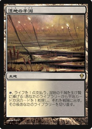 画像1: $FOIL$(ZEN-R)Marsh Flats/湿地の干潟(JP)