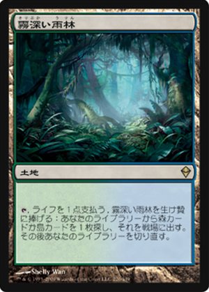画像1: (ZEN-R)Misty Rainforest/霧深い雨林(JP)